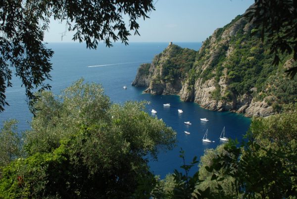 Parco di Portofino