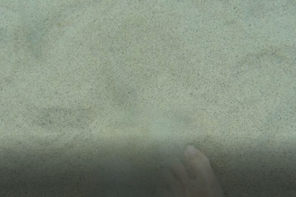Camminare sulla sabbia