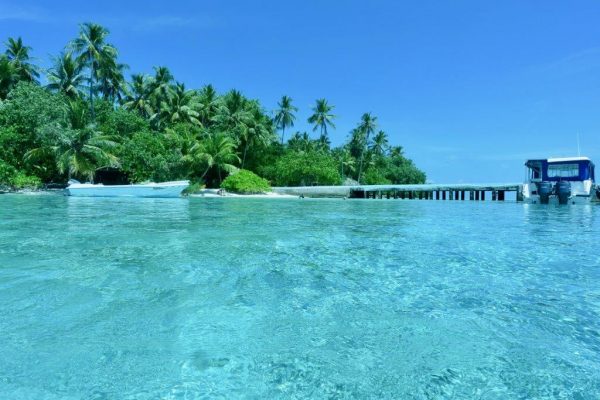 Maldive (1)