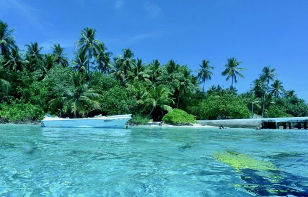 Maldive (2)