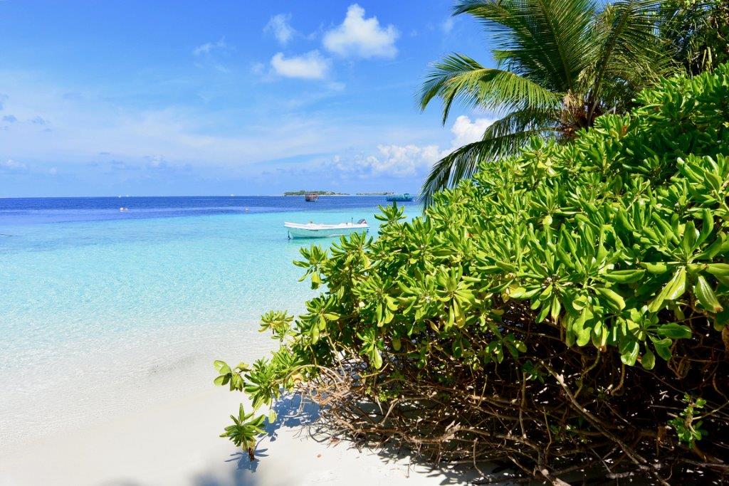 Maldive (3)