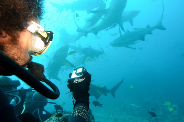 Scuba diving: ecco la lista della spesa per i principianti
