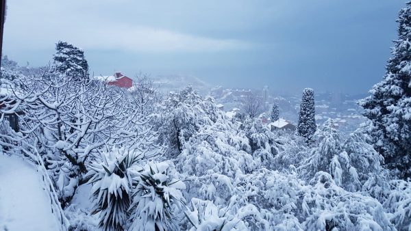 Foto LN nevicata Liguria