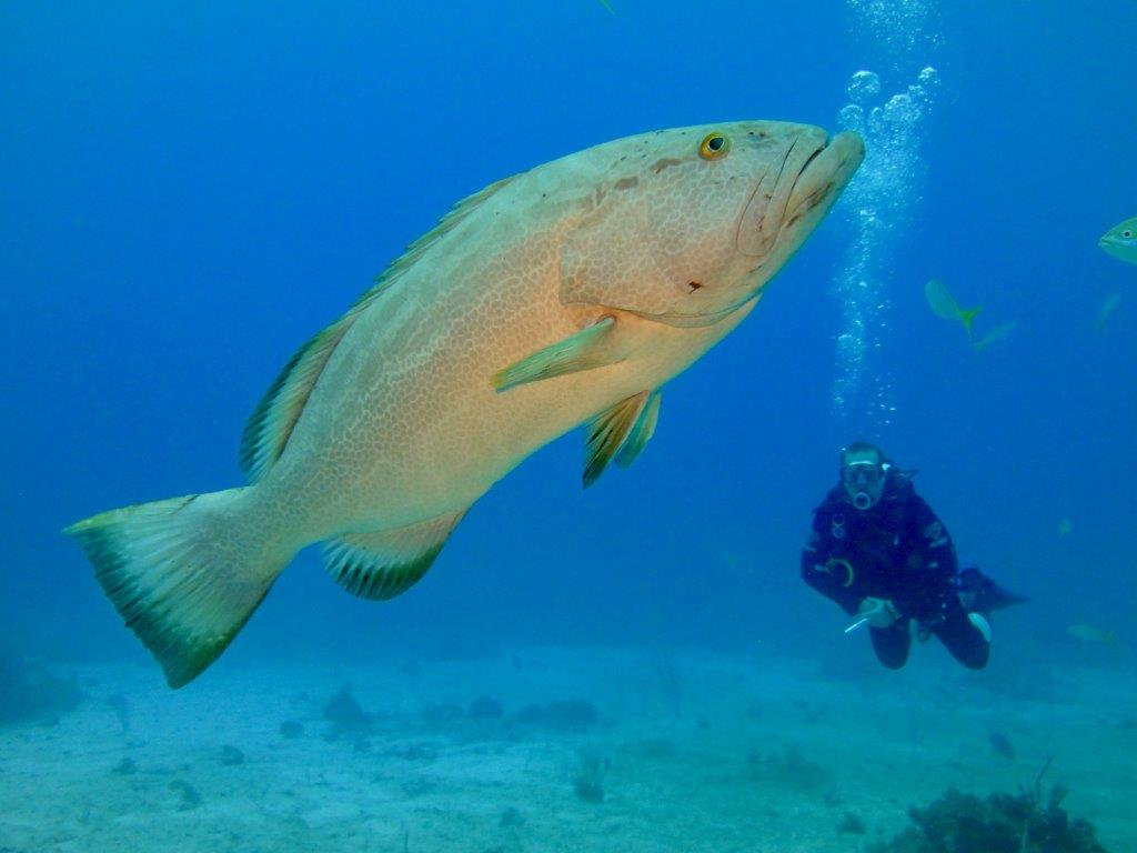 Cayo Largo (11)