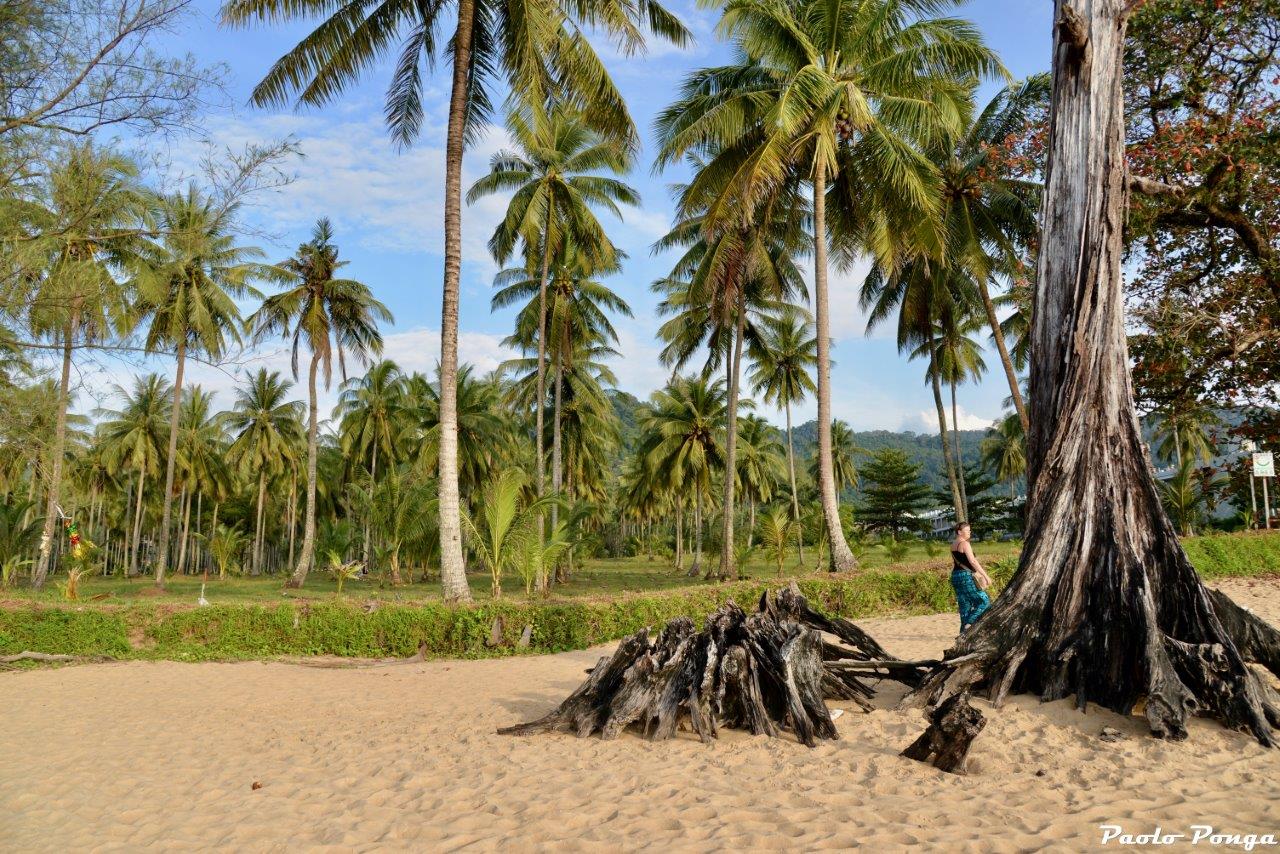 Mare delle Andamane - Khao Lak