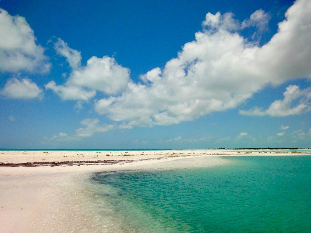 Cayo Largo tartarughe - spiaggia