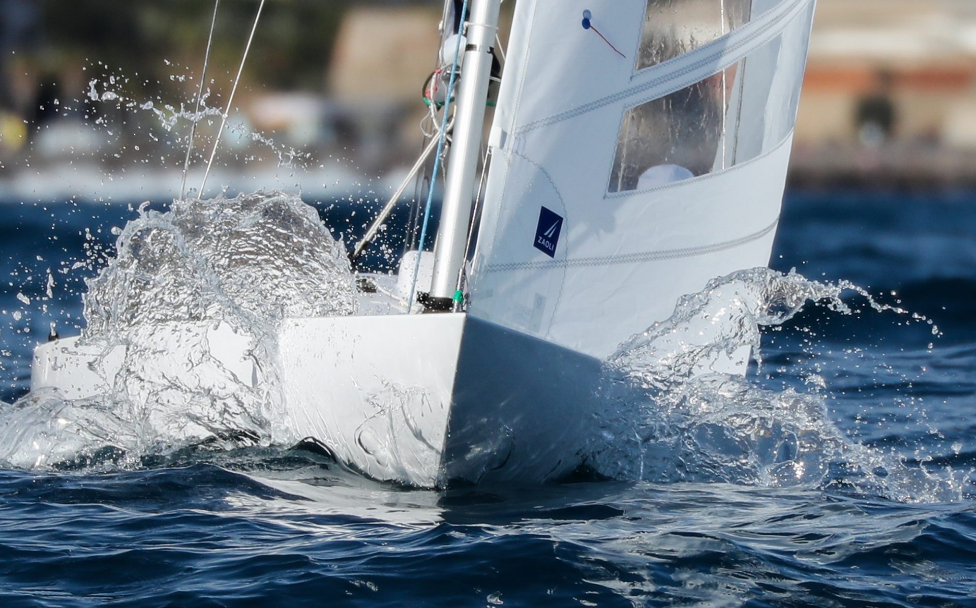 Paul & Shark Trophy 2019 (4)