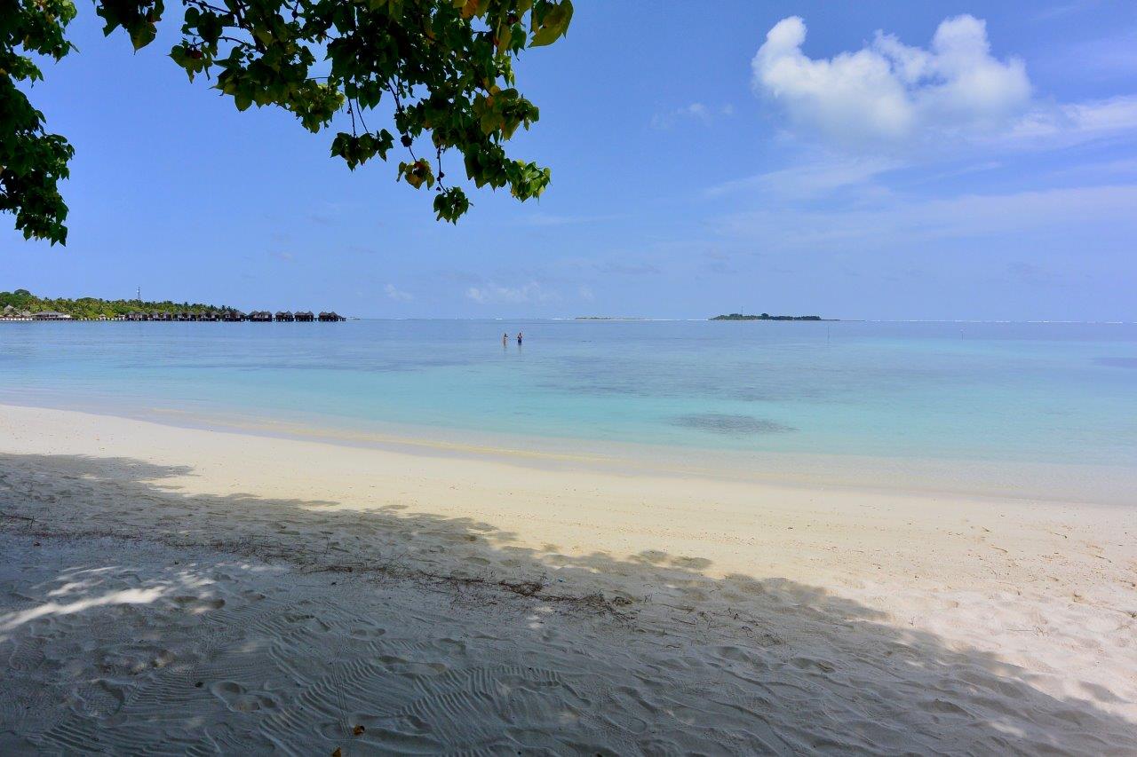 luoghi strani immersioni - Maldive