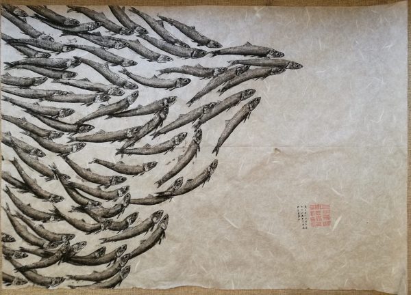 Gyotaku Banco di acciughe