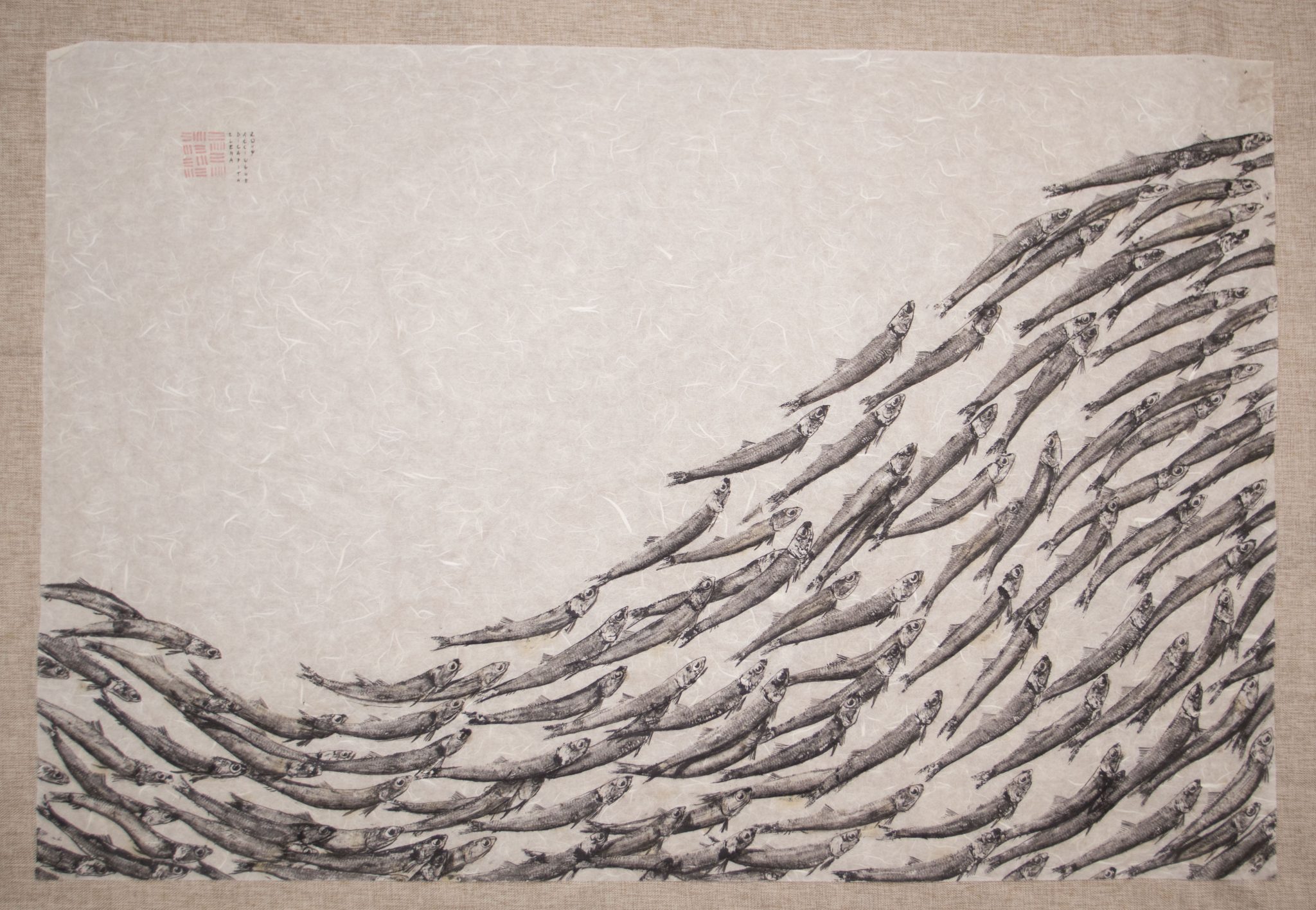 Gyotaku banco di acciughe liguri