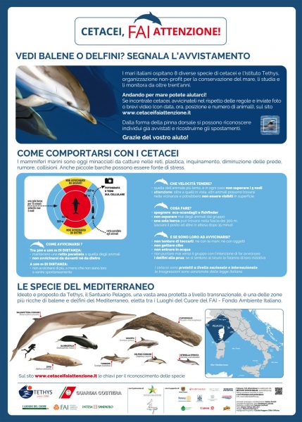 Cetacei FAI attenzione - Poster A4_RGB