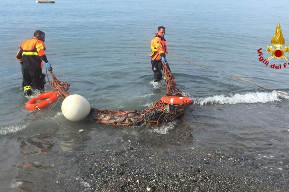 Il recupero della carcassa del delfino a Priaruggia