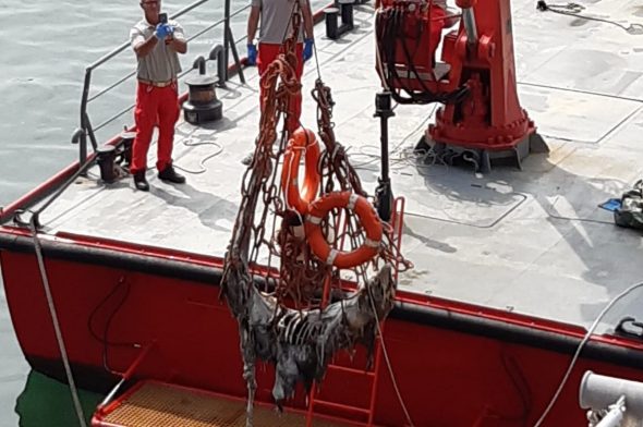 Il recupero del delfino spiaggiato a Priaruggia