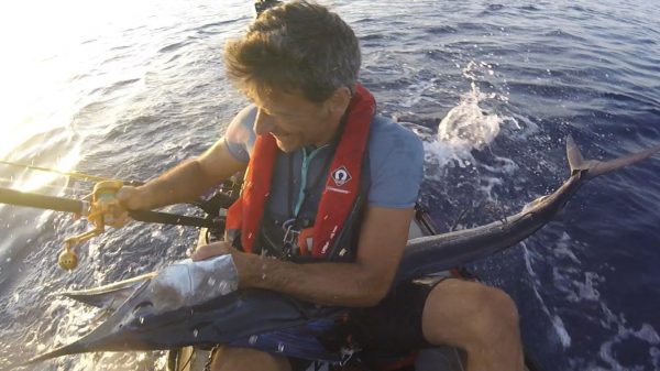 Aguglia imperiale di 28 kg catturata dal kayaker Filippo Landmann