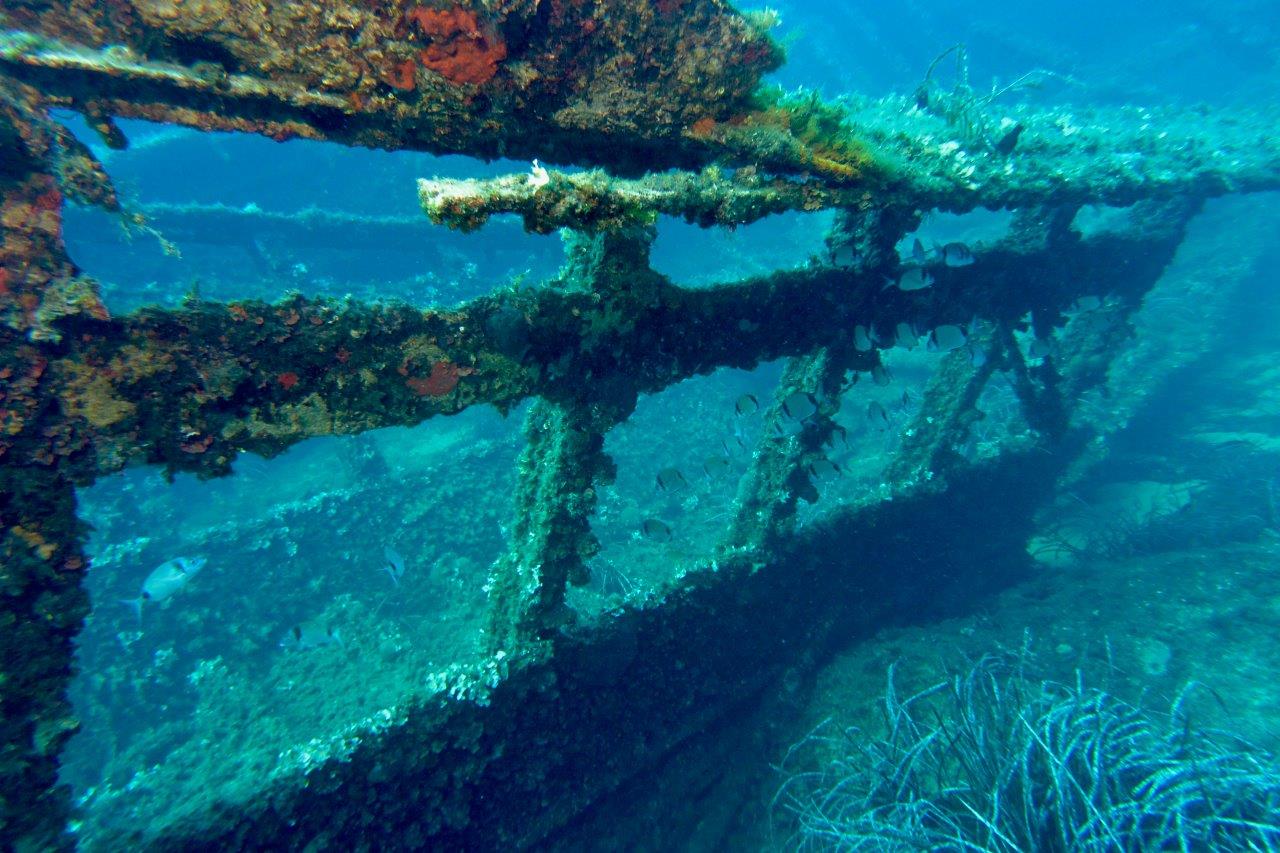 Penisola Calcidica - Kalamitsi wreck (3)