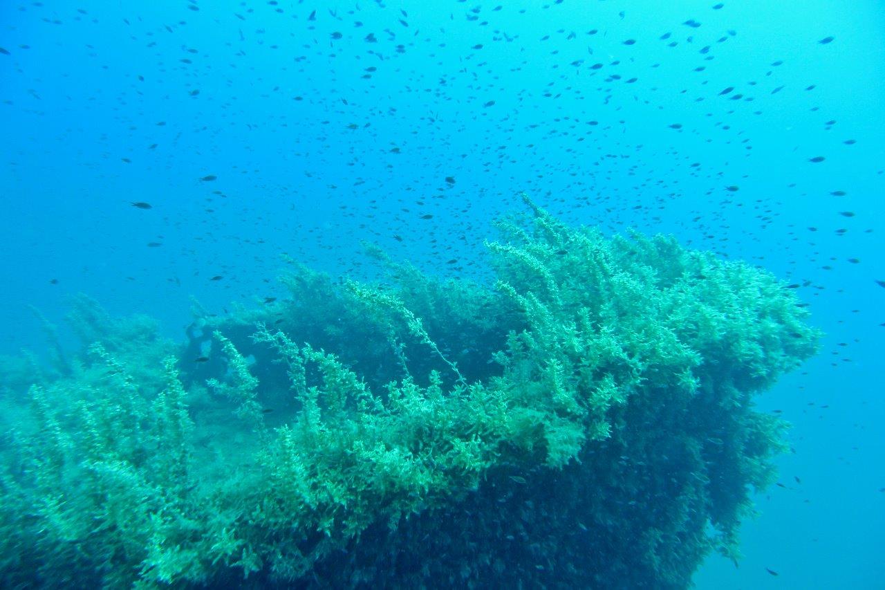 Penisola Calcidica - Mitilini wreck (3)