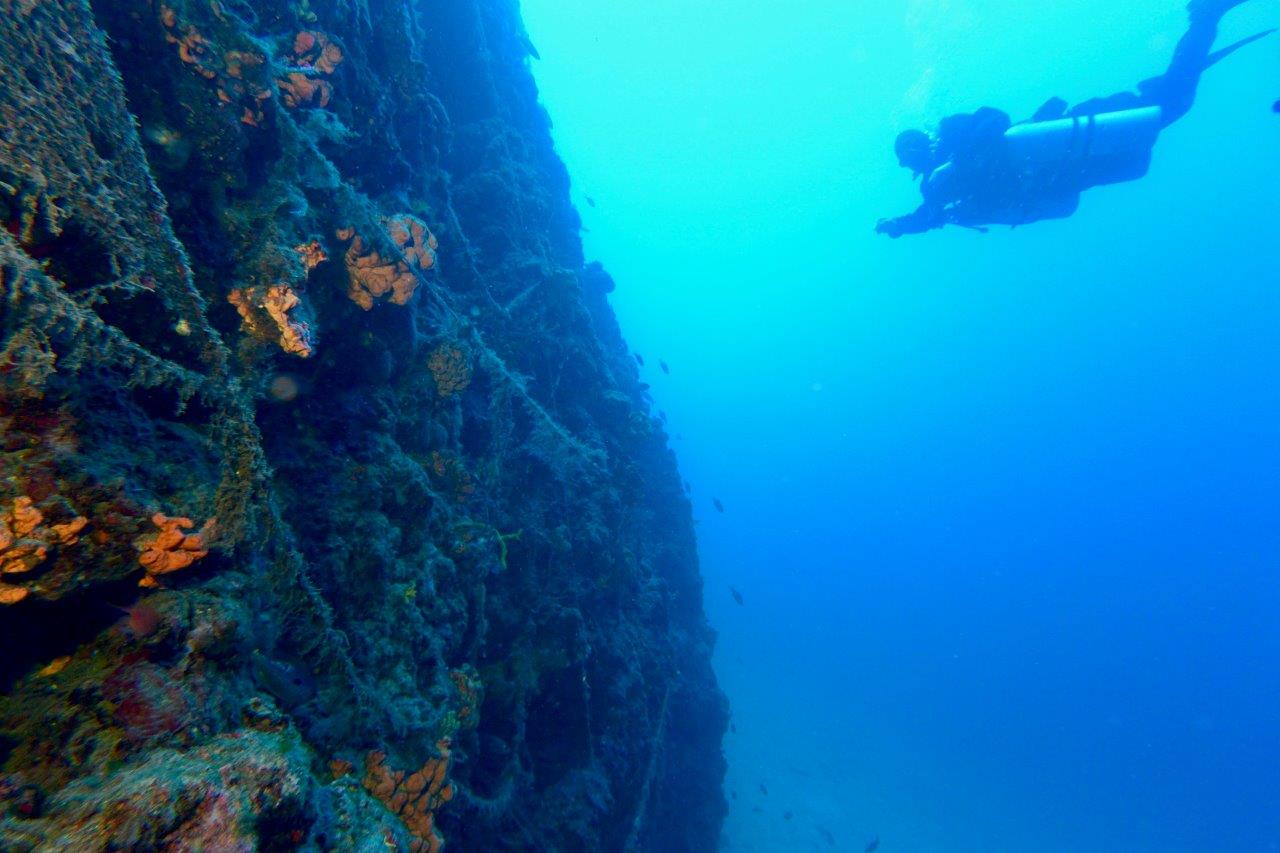 Penisola Calcidica - paesaggio sottomarino