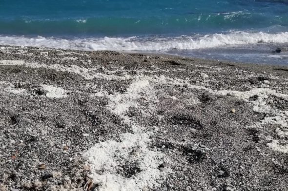 La spiaggia di Finale Ligure invasa da una sostanza bianca