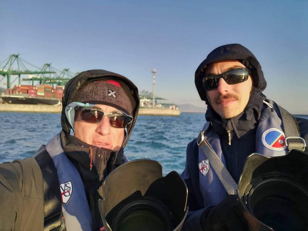 Da giorni gli esperti di Whalewatch Genova escono con la Guardia Costiera per fotografare le orche