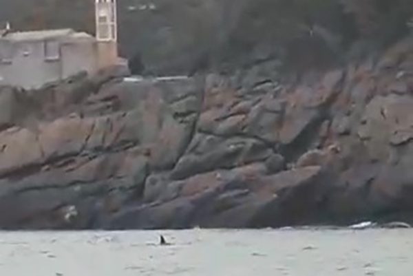 Le orche sotto la chiesa di Portofino
