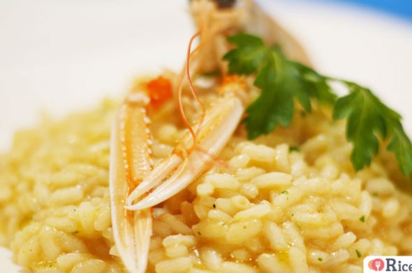 Risotto scampi ricetta