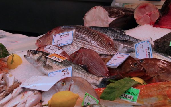 Foray to the fish shop: learning about Snapper