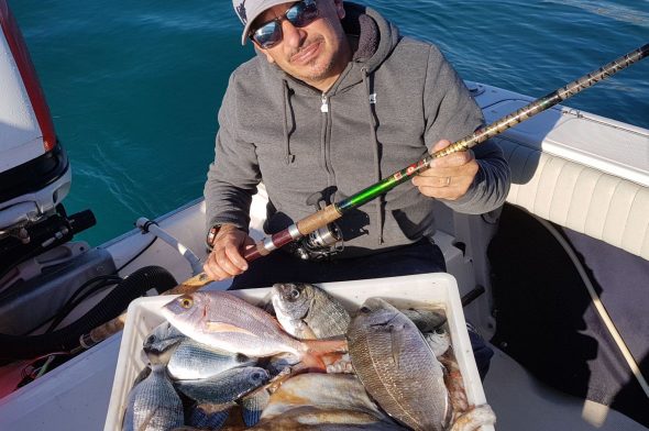 Frozen fish or fresh fish? Let’s see the difference
