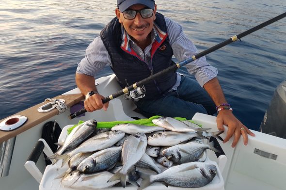 Farmed fish or wild fish? Let’s look at the difference