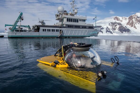spedizione dell'OceanX nell'Oceano Antartico