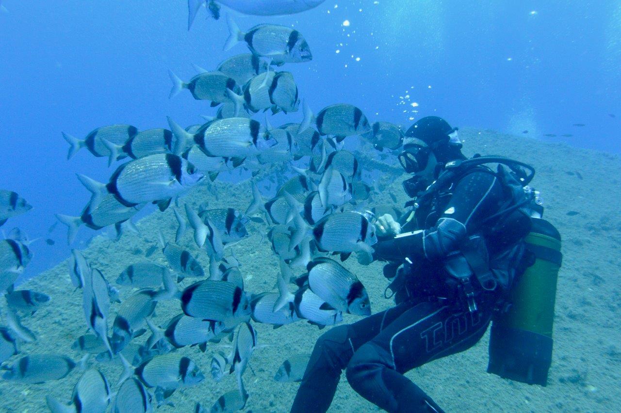 foto subacquee - immersione (3)
