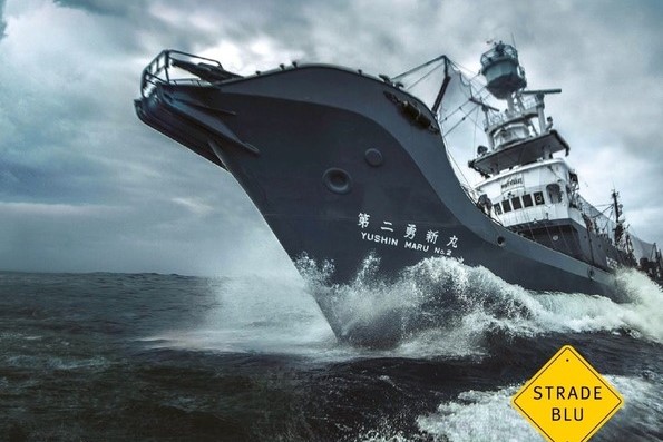 Viaggio nei mari del crimine impunito. Gli “Oceani fuorilegge” raccontati da Ian Urbina