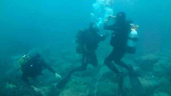 Fondali Puliti 2020 a Bogliasco
