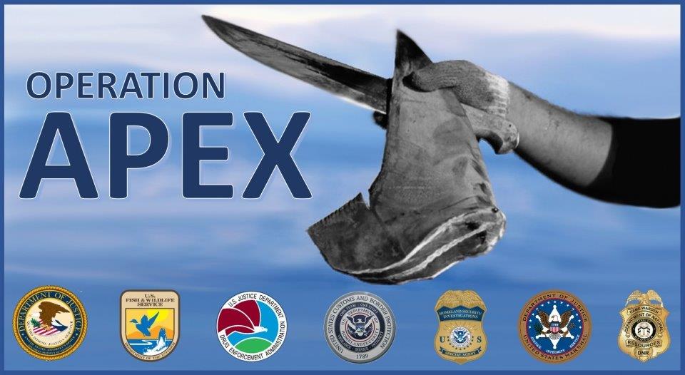 shark finning - apex_-_operation_apex_cover_image