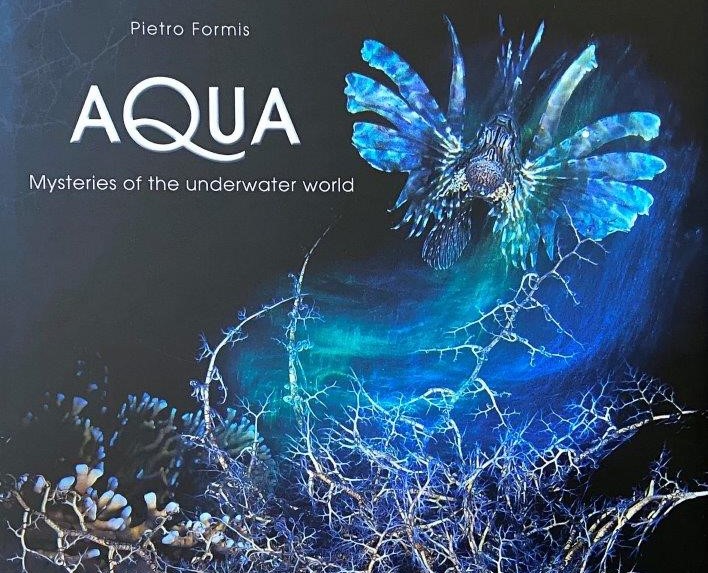 Underwater Photographer of the Year - Pietro Formis Underwater Photography Book of the Year 2020