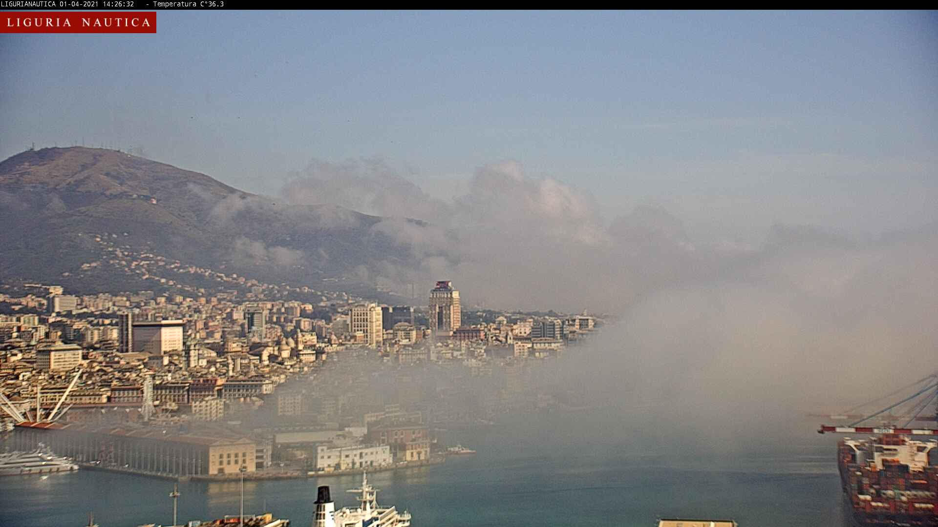 webcam Genova caligo