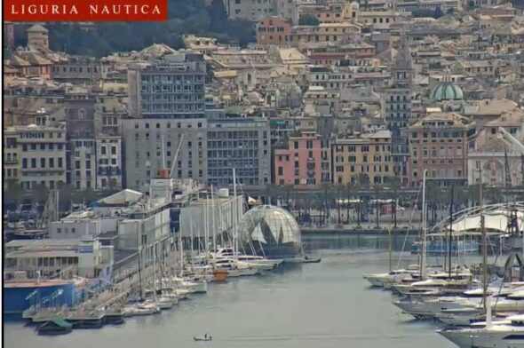 Segui l’arrivo della Ocean Race a Genova con le webcam