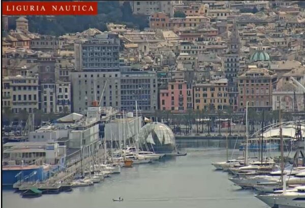 Segui l’arrivo della Ocean Race a Genova con le webcam