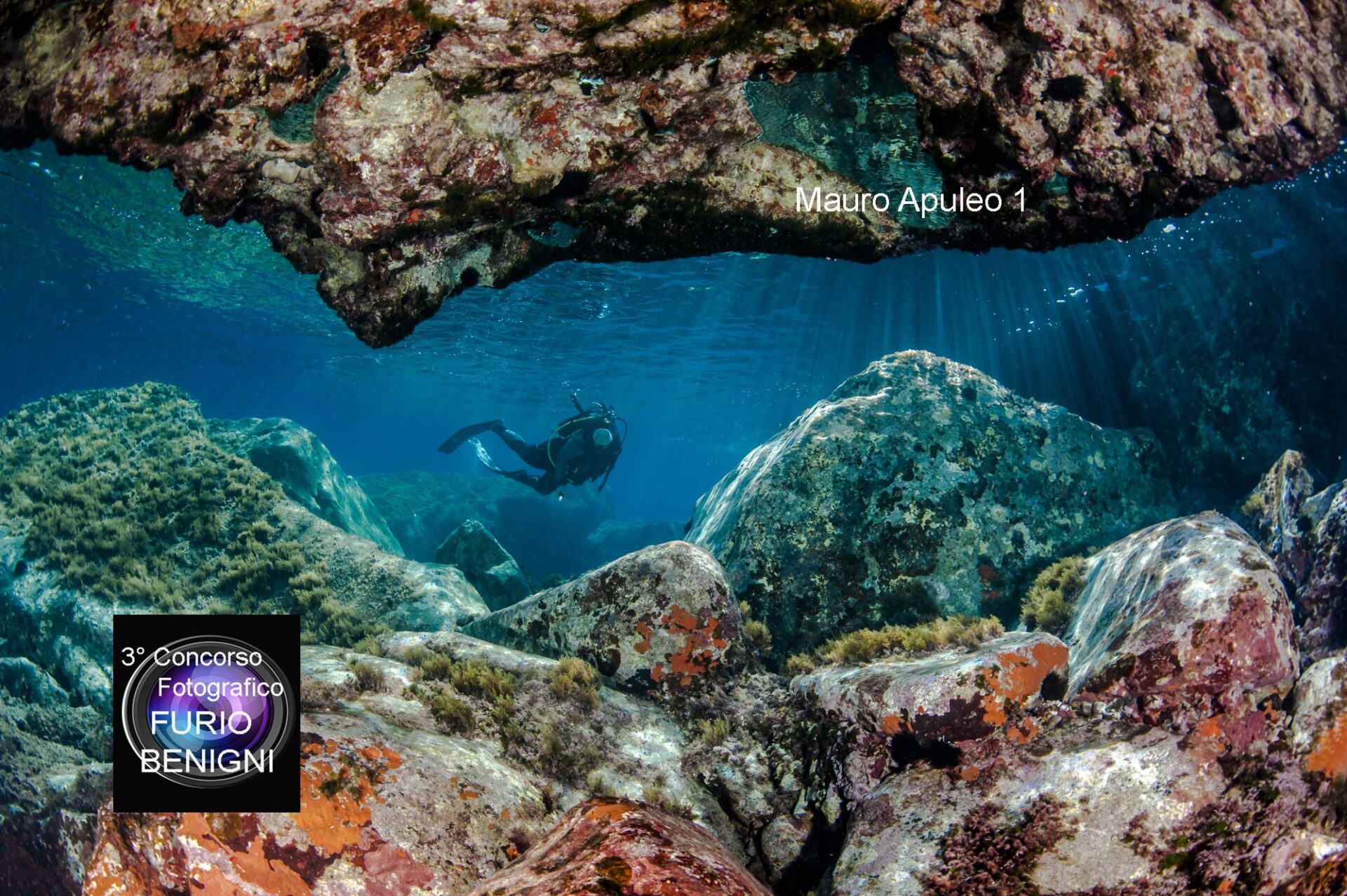 subacquea, Concorso Fotografico Furio Benigni - MAURO APULEO 1