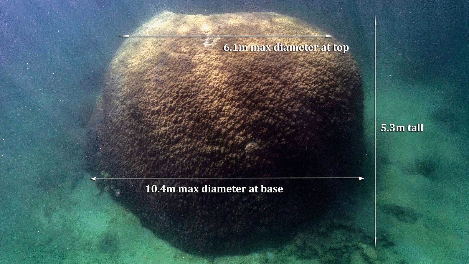 Grande Barriera Corallina Muga Dhambi - fonte Smiths-Scientific Reports