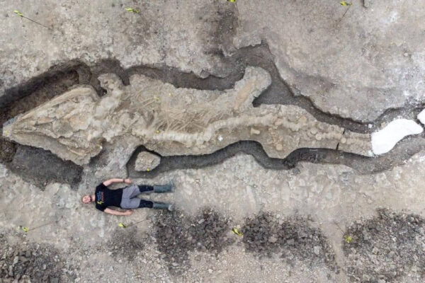 In Gran Bretagna scoperto lo scheletro di un “drago marino”:  era un ittiosauro di 10 metri