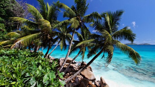 Seychelles Cruising guide