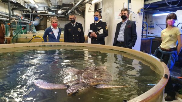 visita area curatoriale Acquario di Genova ammiraglio Liardo e presidente Costa