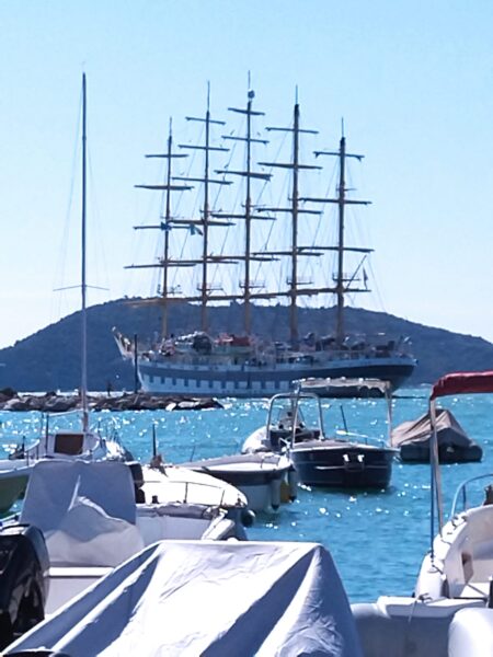 Royal Clipper