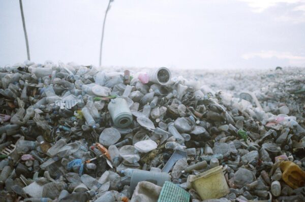 La plastica degli oceani potrebbe essere la fonte di nuovi antibiotici