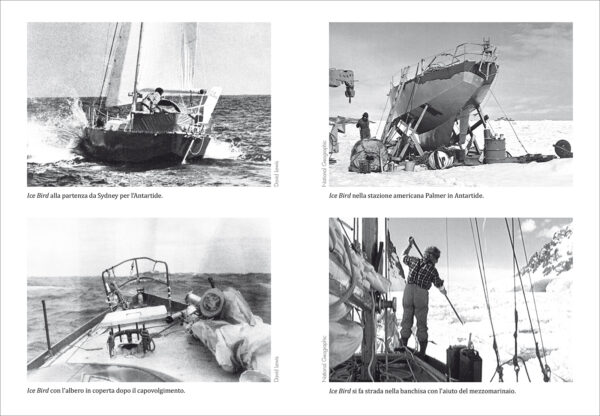 Eccezionale e controverso. David Lewis (The Dolphin)