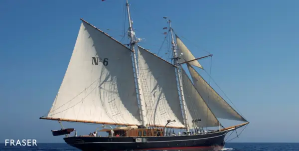 No.6 Texel