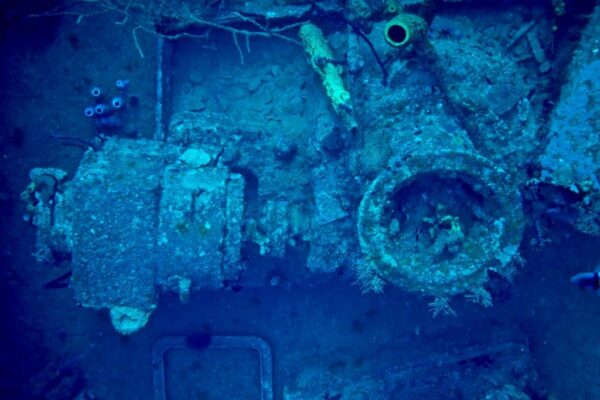 Alla scoperta del relitto del St George Wreck nella Repubblica Dominicana
