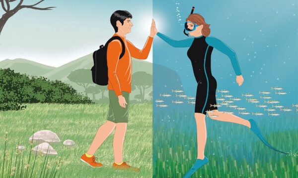 di terra o di mare