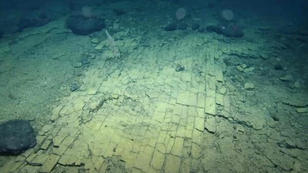 L’incredibile strada di mattoni gialli in fondo all’oceano Pacifico