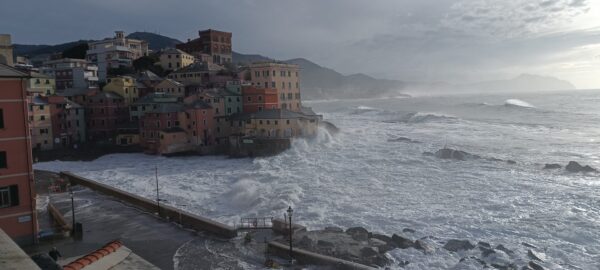 The announced Storm